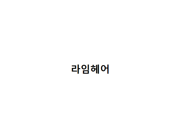 1703280543_L1.png