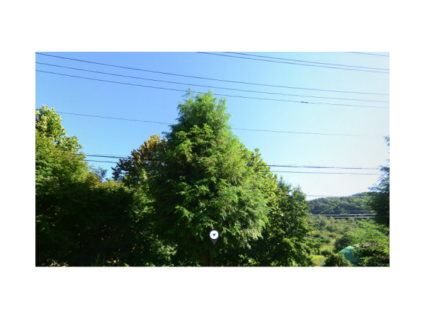 1703290173_L1.png