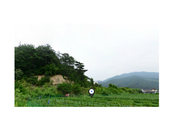 1703290187_L1.png