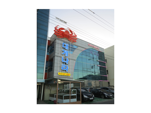 1703290379_L1.png
