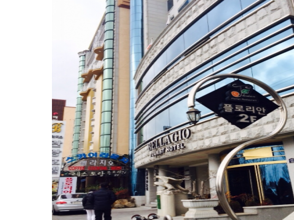 1703290818_L1.png