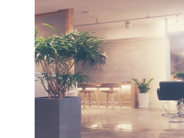 1703301803_L1.png