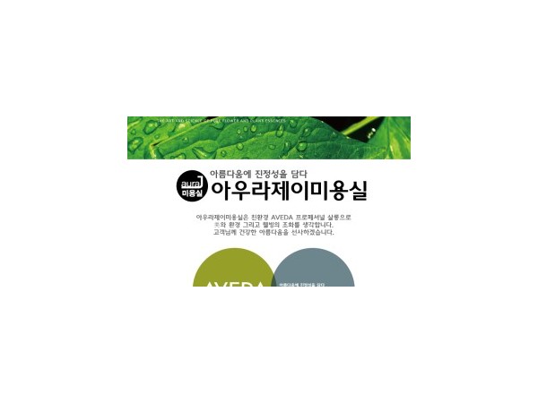 1703302209_L1.peg