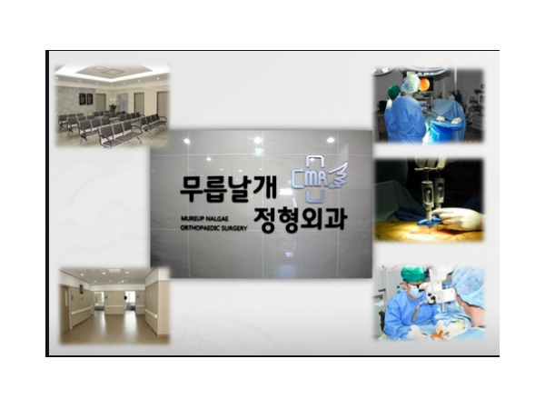 1703310450_L1.png