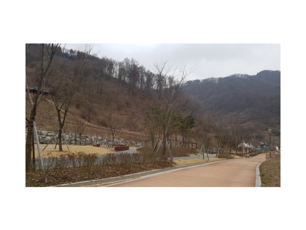 1703310499_L1.jpg