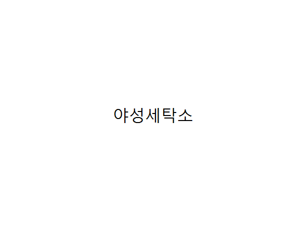 1703311556_L1.png