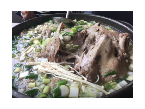 1703311595_L1.png