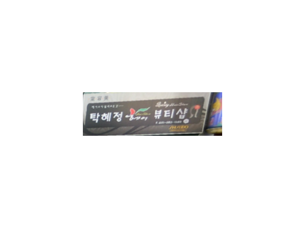 1703311683_L1.png