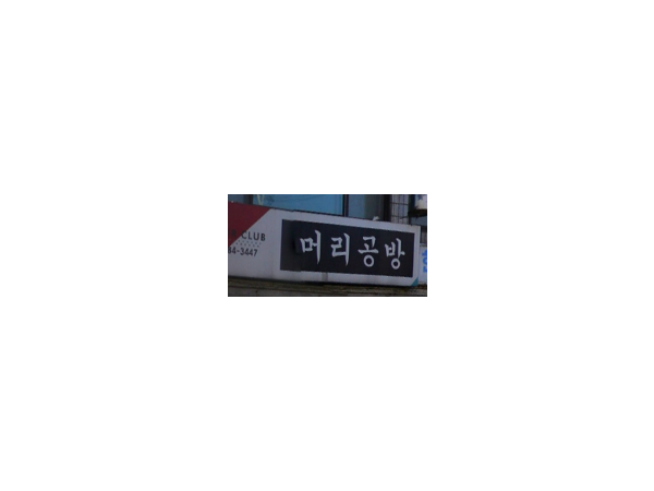 1703311702_L1.png