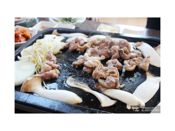 1703311776_L1.png