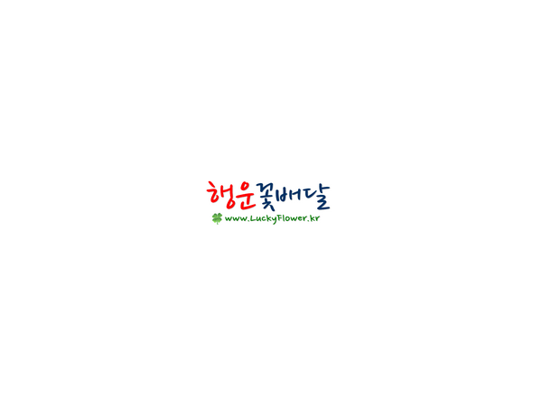 1703312042_L1.png