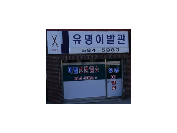 1703312514_L1.png