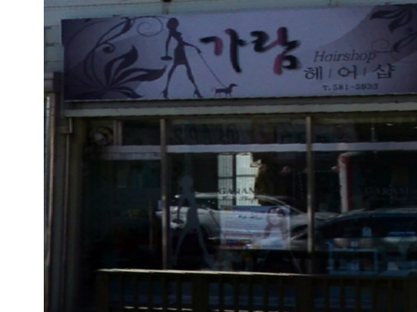 1703312650_L1.png