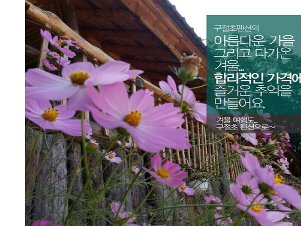 1704010905_L1.jpg