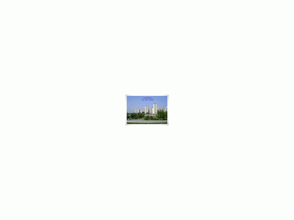 1704011539_L1.gif