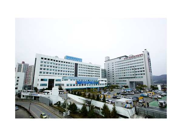 1704012096_L1.jpg