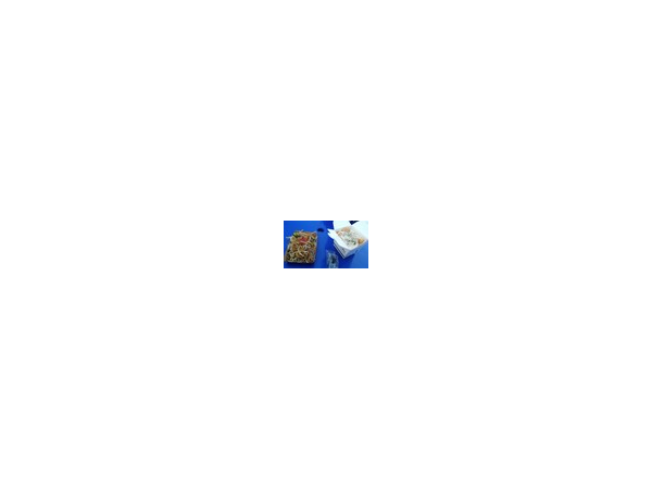 1704020504_L1.png