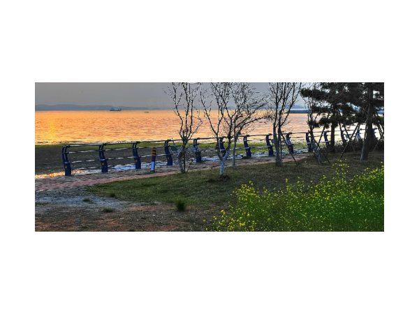 1704020732_L1.png
