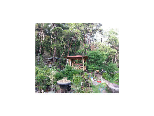 1704021538_L1.png