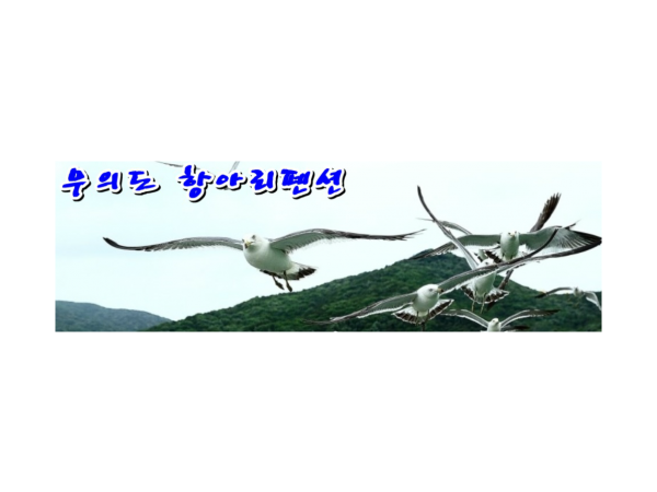 1704022339_L1.png