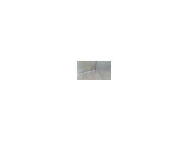 1704030384_L1.jpg