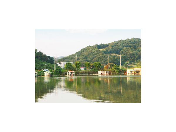 1704031011_L1.png