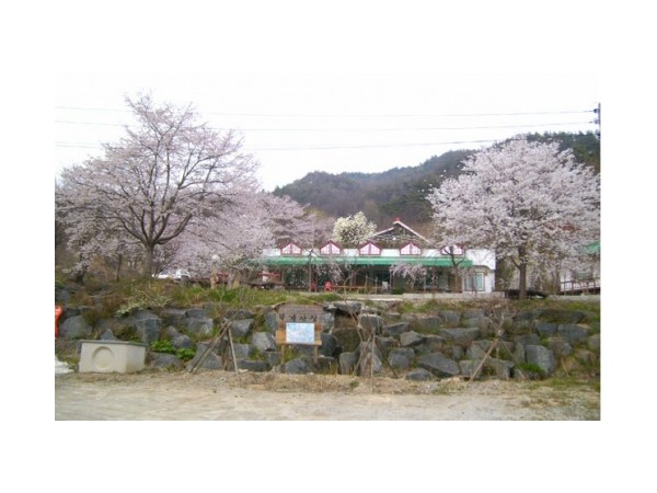 1704031486_L2.jpg