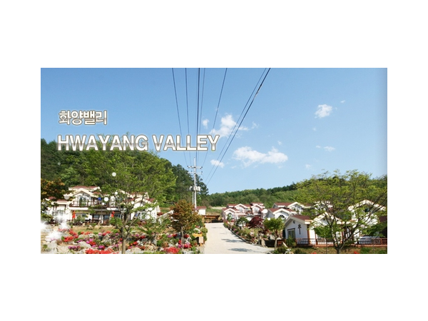 1704031573_L1.png