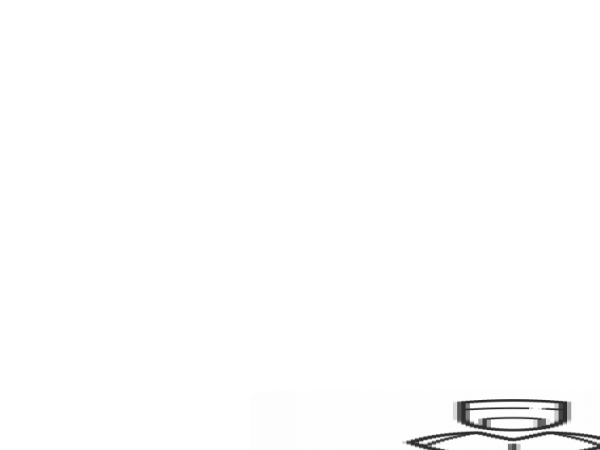 1704031987_L1.png