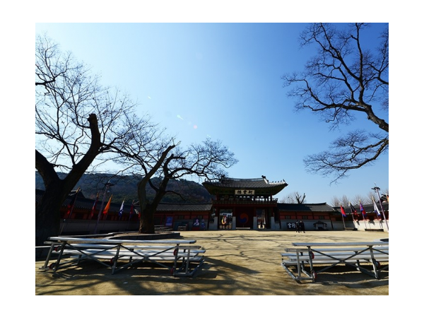 1704032446_L1.png