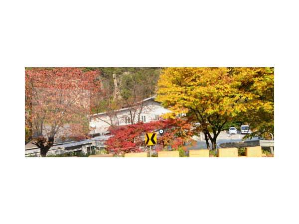 1704040718_L1.png