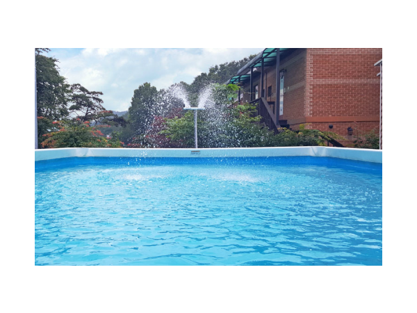 1704050532_L2.png