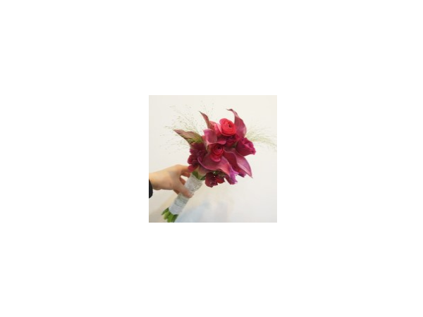 1704050890_L1.png