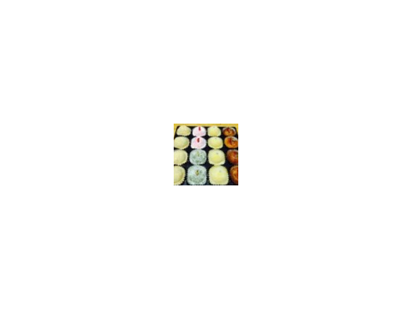 1704051203_L1.png