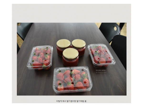 1704060806_L2.png