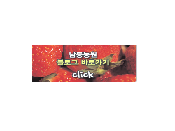 1704060806_L4.png