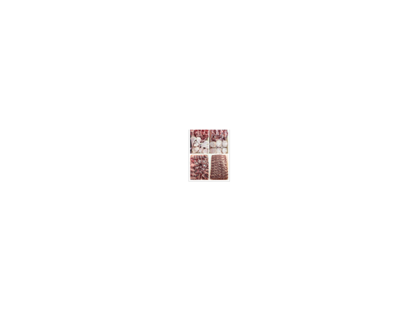 1704070527_L3.png