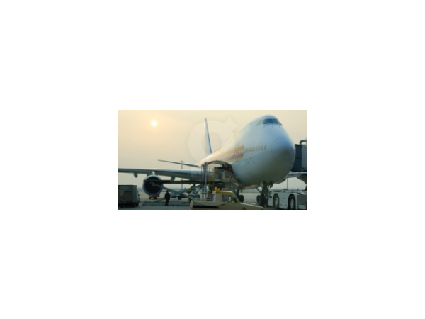 1704130397_L1.png