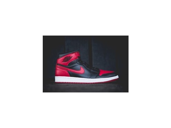 1704130556_L3.jpg