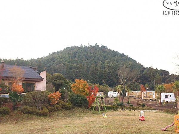 1704180203_L5.jpg