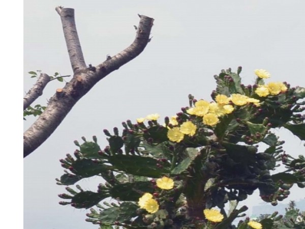 1704200028_L2.jpg