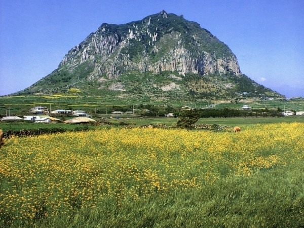 1704200045_L5.jpg