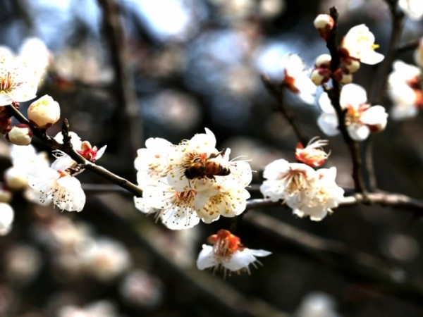 1704200047_L5.jpg