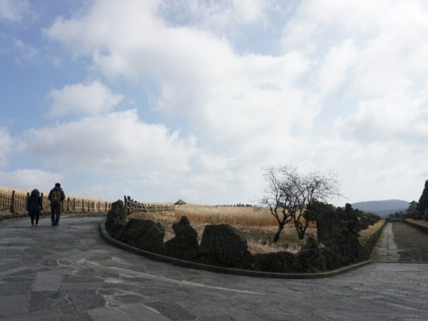 1704200058_L4.jpg