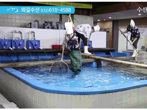 1704250018_L2.png
