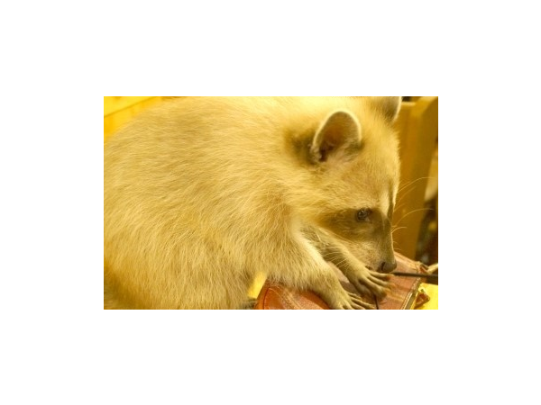 1704280025_L4.png