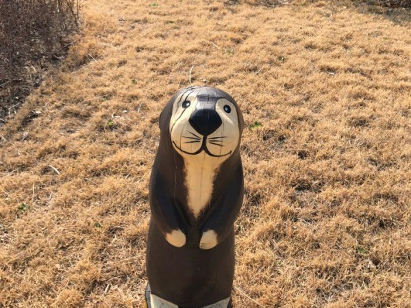 186380615547898_4.jpeg