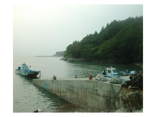 12006531_4.jpg