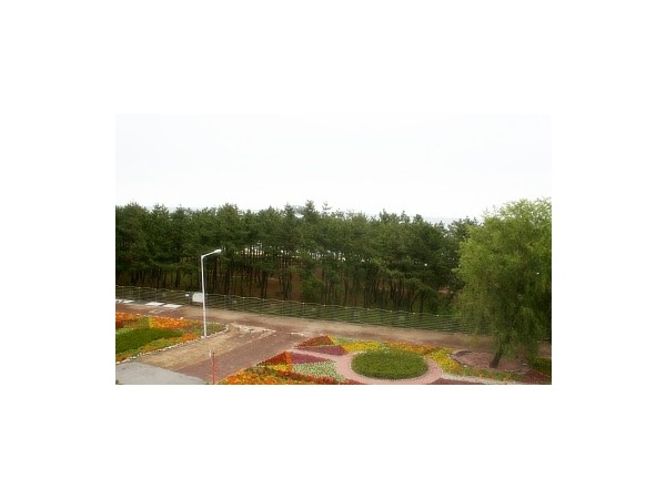 12862699_3.jpg
