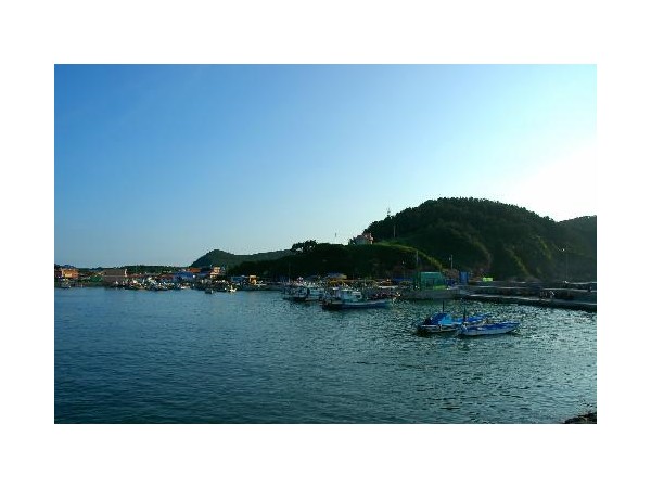 12003633_5.jpg